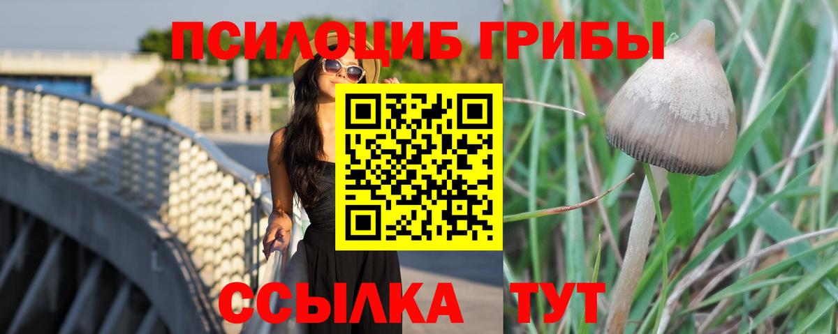 Тюмень  Псилоцибиновые грибы Magic Shrooms  Псилоцибиновые грибы ЛСД  Вход с VPN 